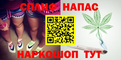 прущие грибы Канаш