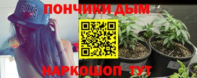 прущие грибы Канаш