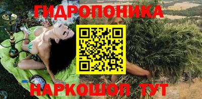 прущие грибы Канаш