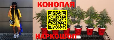 прущие крисы Кандалакша