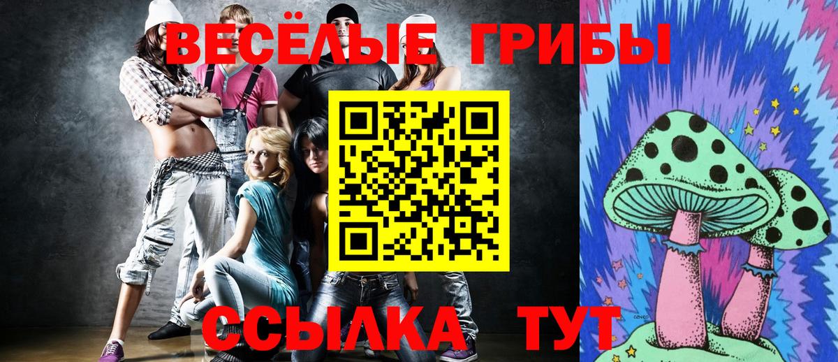Псилоцибиновые грибы прущие грибы Красноярск