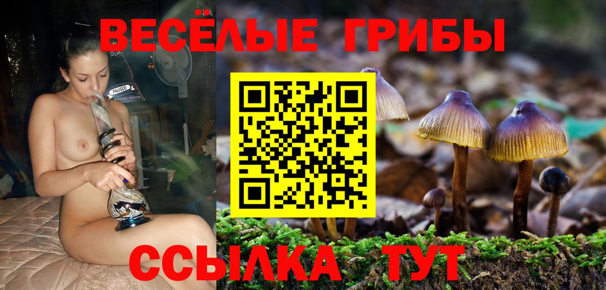 Галлюциногенные грибы прущие грибы  Псилоцибиновые грибы Psilocybine cubensis  Красноярск  Вход с VPN 